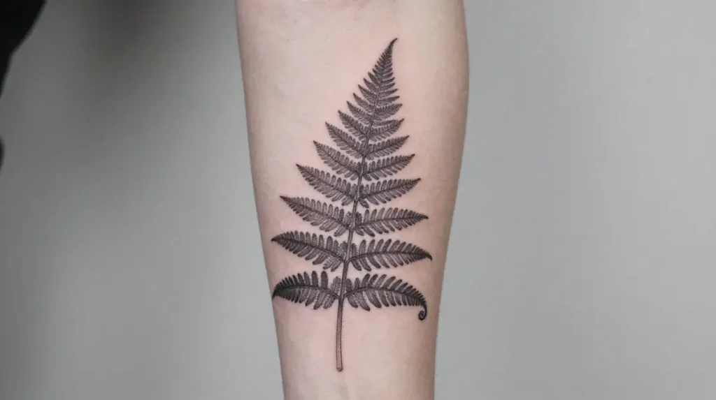 Fern Tattoo