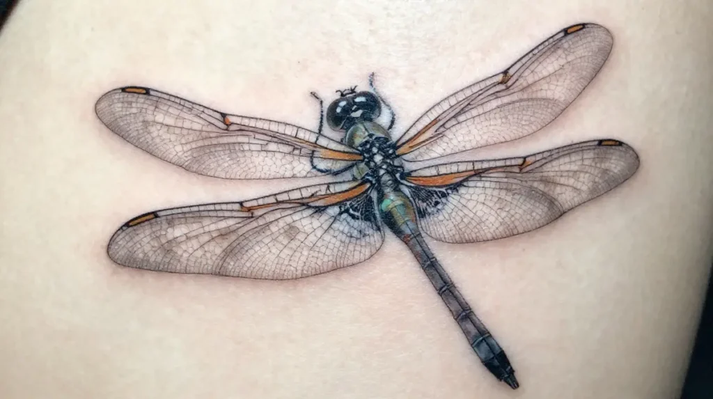 Dragonfly