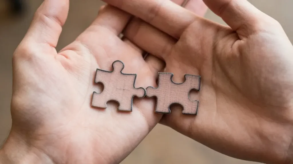 Puzzle Pieces