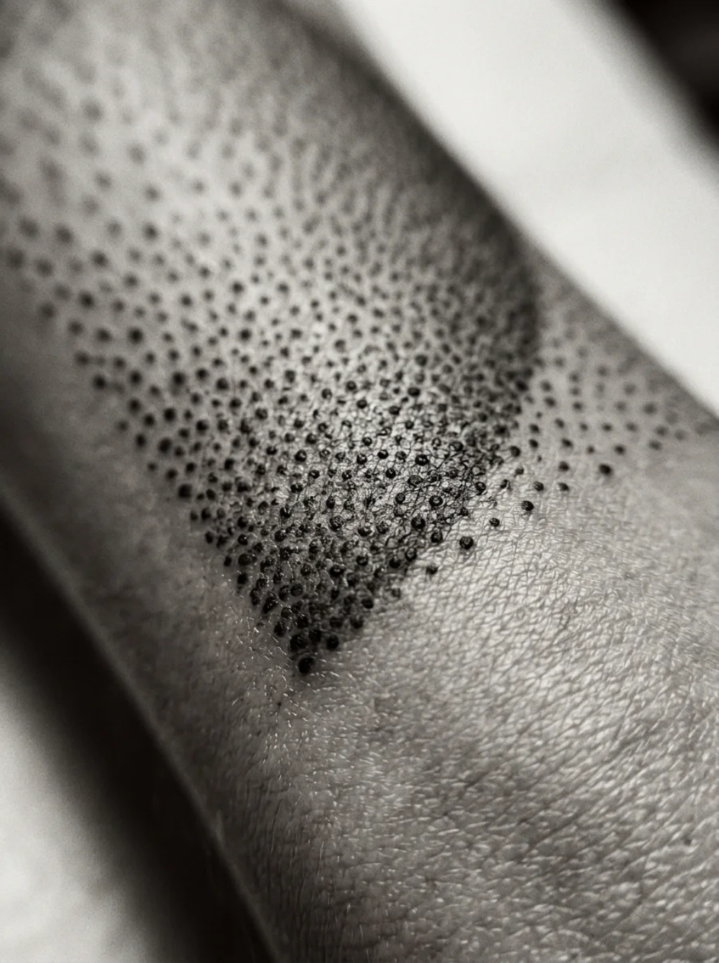 Dotwork Technique Transforms a Single Point Into Quiet Meaning
