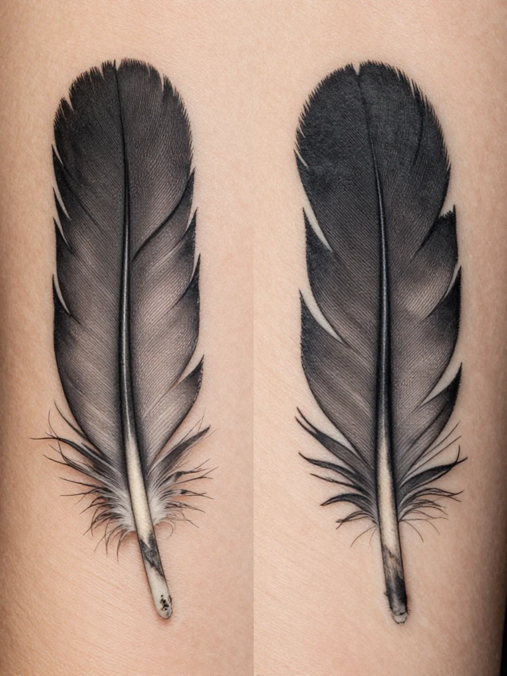Feather Texture Mastery — the Technical Secret Inside Every Great Wing Tattoo