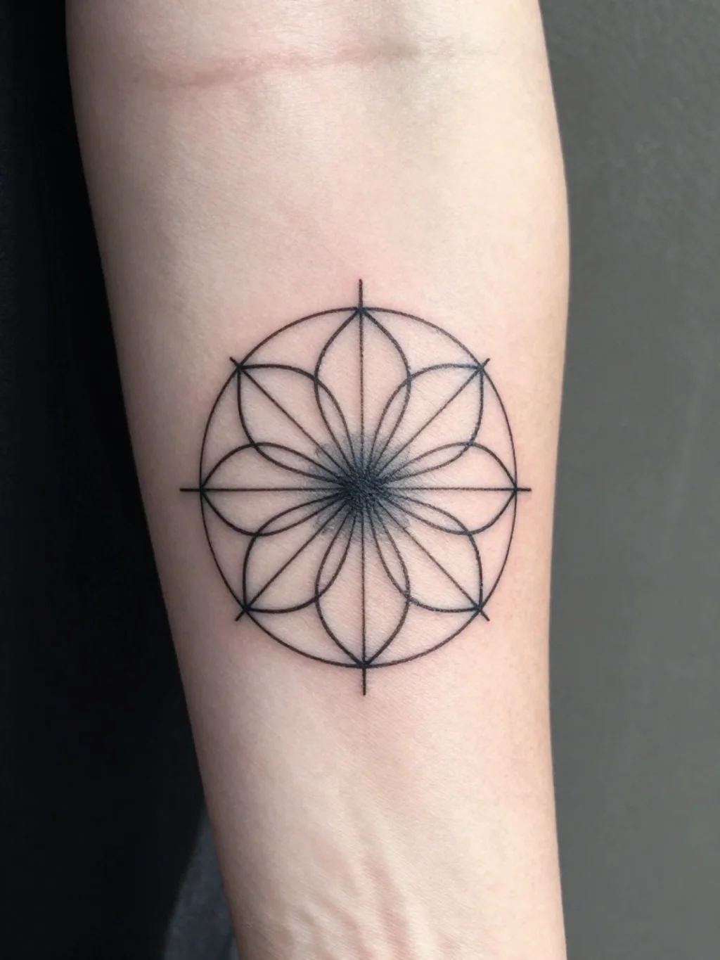 Fine Line Geometry Reinvents Classical Botanical Art for Modernists