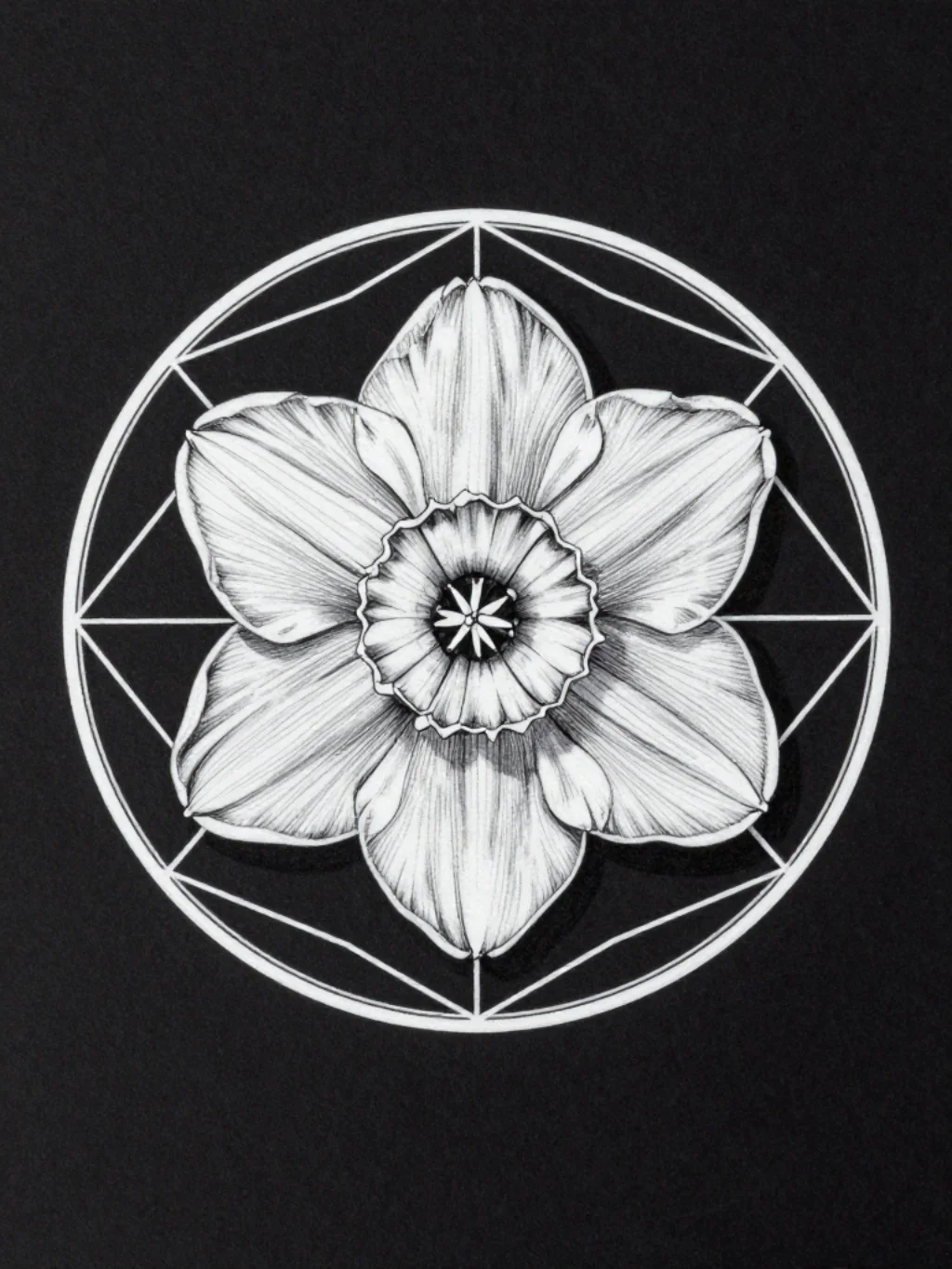 Geometric and Sacred Geometry Fused With December Birth Flowers