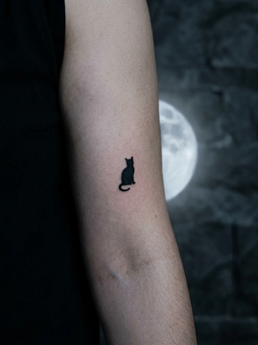 Black Cats And Bats: Symbols That Never Lose Charm